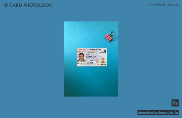USA Indiana ID-Karte Fotoansicht Beispielvorschau